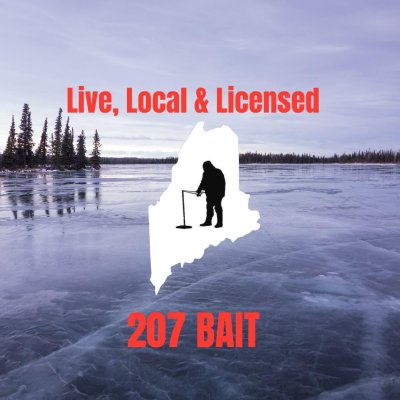 Photo of 207 Bait