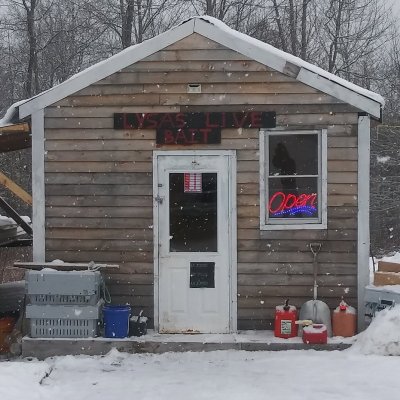 Photo of Lysa's Live Bait