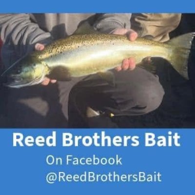 Photo of Reed Brothers Bait